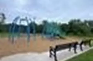 7345 Zachery Dr, Frisco, TX 75033 - Photo 17