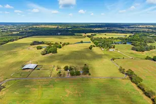 1742 County Road SW 3055, Saltillo, TX 75478 - Photo 33