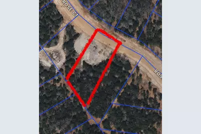 1015 Rose Court, Nemo, TX 76070 - Photo 3