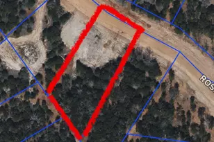 1015 Rose Ct, Nemo, TX 76070 - Photo 3