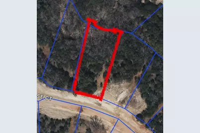 1036 Rose Court, Nemo, TX 76070 - Photo 3