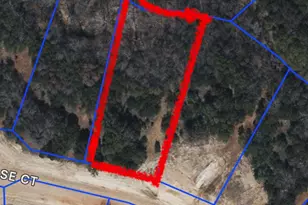 1036 Rose Ct, Nemo, TX 76070 - Photo 3