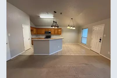 7033 Snowy Owl Street, Arlington, TX 76002 - Photo 7