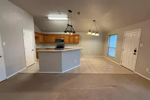 7033 Snowy Owl St, Arlington, TX 76002 - Photo 7