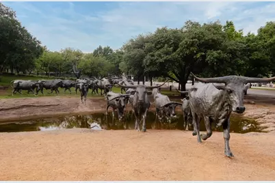 9625 McClane Farm Drive, Fort Worth, TX 76036 - Photo 23