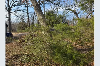 320 Double Bridge Road, Mabank, TX 75156 - Photo 3