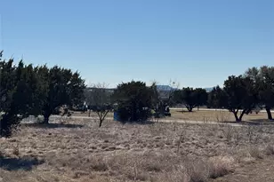 Lot 1049 Frog Branch Ct, Possum Kingdom Lake, TX 76449 - Photo 1