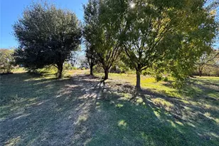 Apn 442076 W Bells Blvd, Bells, TX 75414 - Photo 1