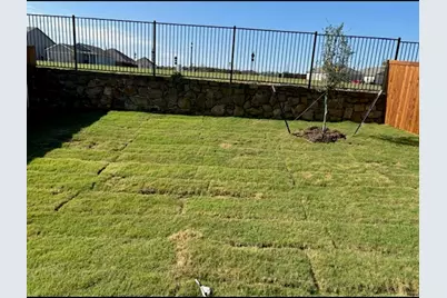 3136 Burmese Street, Providence Village, TX 76227 - Photo 5