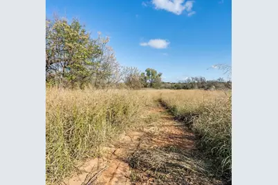 11407 Mitchell Bend Court, Granbury, TX 76048 - Photo 7