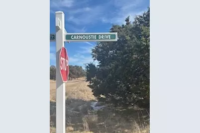 Carnoustie Dr Carnoustie, Graford, TX 76449 - Photo 3