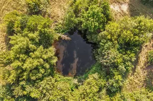 1544 W Hwy 84, Mexia, TX 76667 - Photo 33