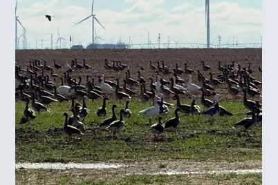 Tbd Fm 2365, Knox City, TX 79529 - Photo 9