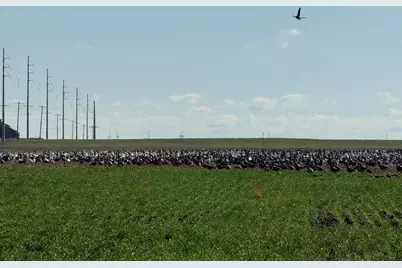 Tbd Fm 2365, Knox City, TX 79529 - Photo 11