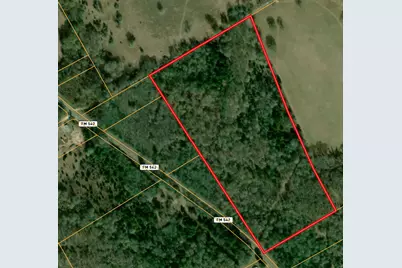 Tbd Fm 542 Road, Oakwood, TX 75855 - Photo 7