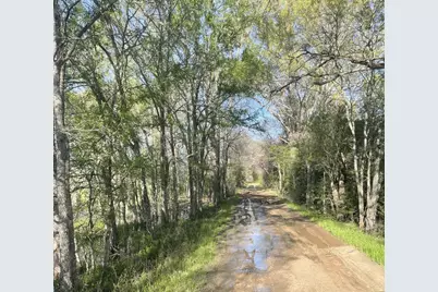Tbd Fm 542 Road, Oakwood, TX 75855 - Photo 1