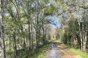 Tbd Fm 542 Rd, Oakwood, TX 75855 - Photo 1