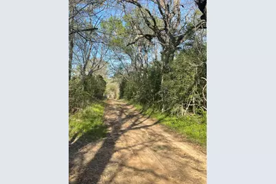 Tbd Fm 542 Road, Oakwood, TX 75855 - Photo 5