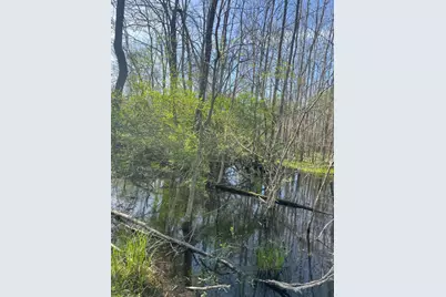 Tbd Fm 542 Road, Oakwood, TX 75855 - Photo 3