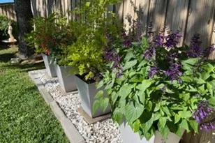 2609 Ramblewood Dr, Carrollton, TX 75006 - Photo 39