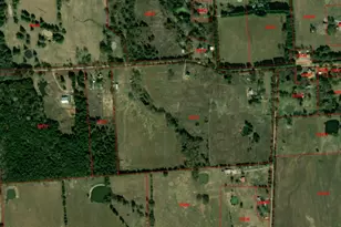 205 Co Rd 1135, Ravenna, TX 75476 - Photo 3