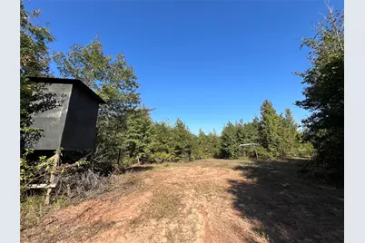 3299 Cr 1579-2, Avinger, TX 75630 - Photo 39