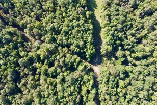 3299 Cr 1579-2, Avinger, TX 75630 - Photo 37