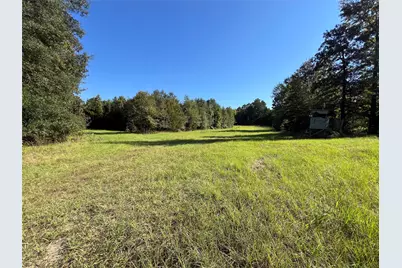 3299 Cr 1579-2, Avinger, TX 75630 - Photo 31