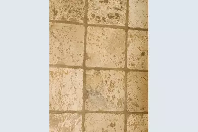 2621 Ozark Drive, Grand Prairie, TX 75052 - Photo 27