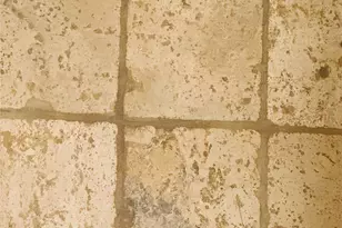 2621 Ozark Dr, Grand Prairie, TX 75052 - Photo 27