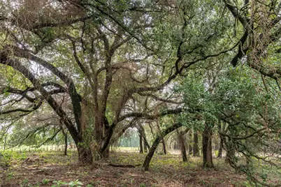 4750 Coleman Ranch Road, Tolar, TX 76476 - Photo 7