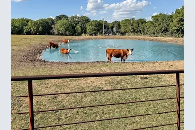 1050 County Road 5025, Leonard, TX 75452 - Photo 5