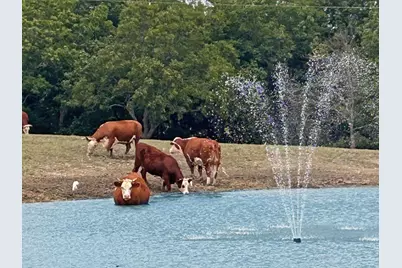 1050 County Road 5025, Leonard, TX 75452 - Photo 33