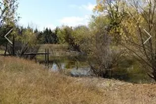 2383 State Hwy 78 S, Farmersville, TX 75442 - Photo 11