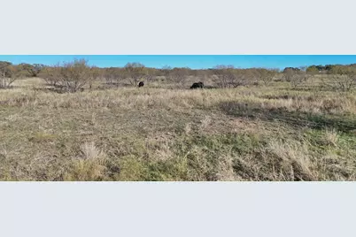 Lot 23 Brazos Valley Lane, Mineral Wells, TX 76068 - Photo 7