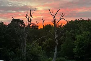 1009 Cedar View Ln, McKinney, TX 75072 - Photo 39