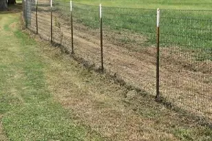 446 Vz County Road 4108, Canton, TX 75103 - Photo 37