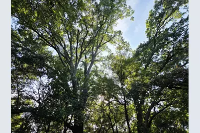 347 Copper Branch Road, Whitesboro, TX 76273 - Photo 19