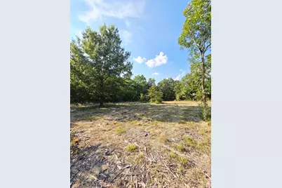 347 Copper Branch Road, Whitesboro, TX 76273 - Photo 33