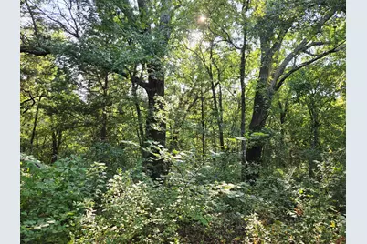 347 Copper Branch Road, Whitesboro, TX 76273 - Photo 1