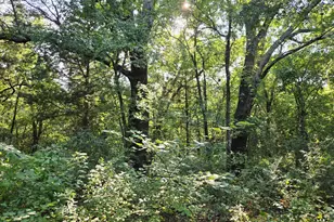 347 Copper Branch Rd, Whitesboro, TX 76273 - Photo 1