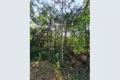 347 Copper Branch Road, Whitesboro, TX 76273 - Photo 31