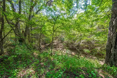 347 Copper Branch Road, Whitesboro, TX 76273 - Photo 5