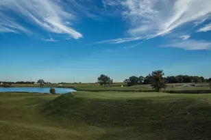 1065 Birdie St, Gunter, TX 75058 - Photo 5