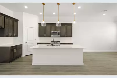 673 Tyronza Drive, Justin, TX 76247 - Photo 3