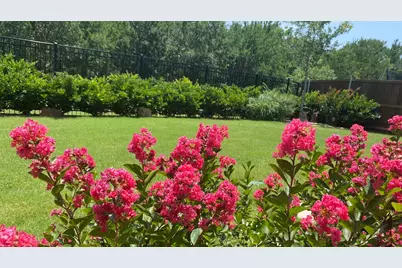 808 Bluestem Drive, Aubrey, TX 76227 - Photo 31