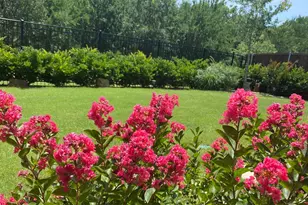 808 Bluestem Dr, Aubrey, TX 76227 - Photo 31