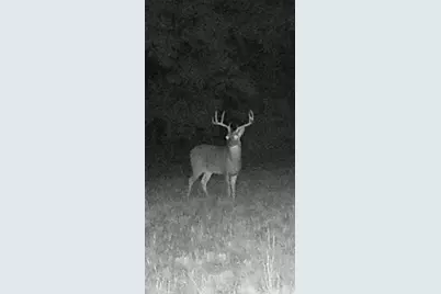 1151 Cr 24900 Road, Roxton, TX 75477 - Photo 27