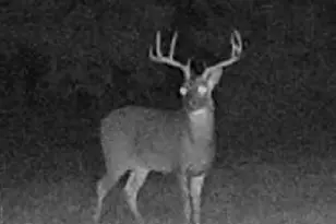 1151 Cr 24900 Rd, Roxton, TX 75477 - Photo 27