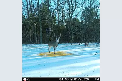 1151 Cr 24900 Road, Roxton, TX 75477 - Photo 25